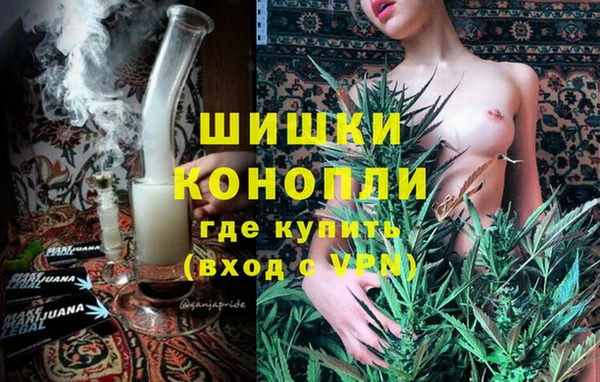 spice Лагань